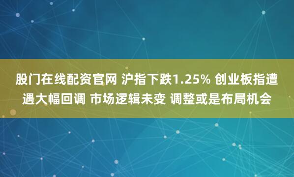股门在线配资官网 沪指下跌1.25% 创业板指遭遇大幅回调 市场逻辑未变 调整或是布局机会